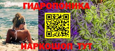 МДПВ Мариинск