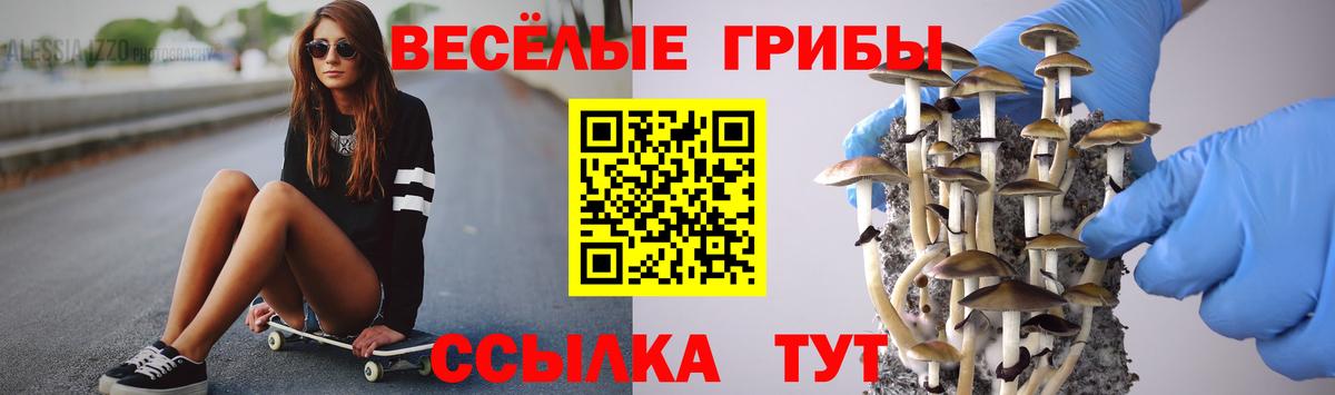 Псилоцибиновые грибы Magic Shrooms Ялта